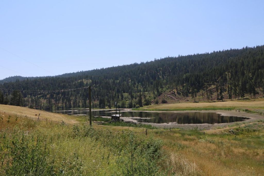listing image 16516465556403752508