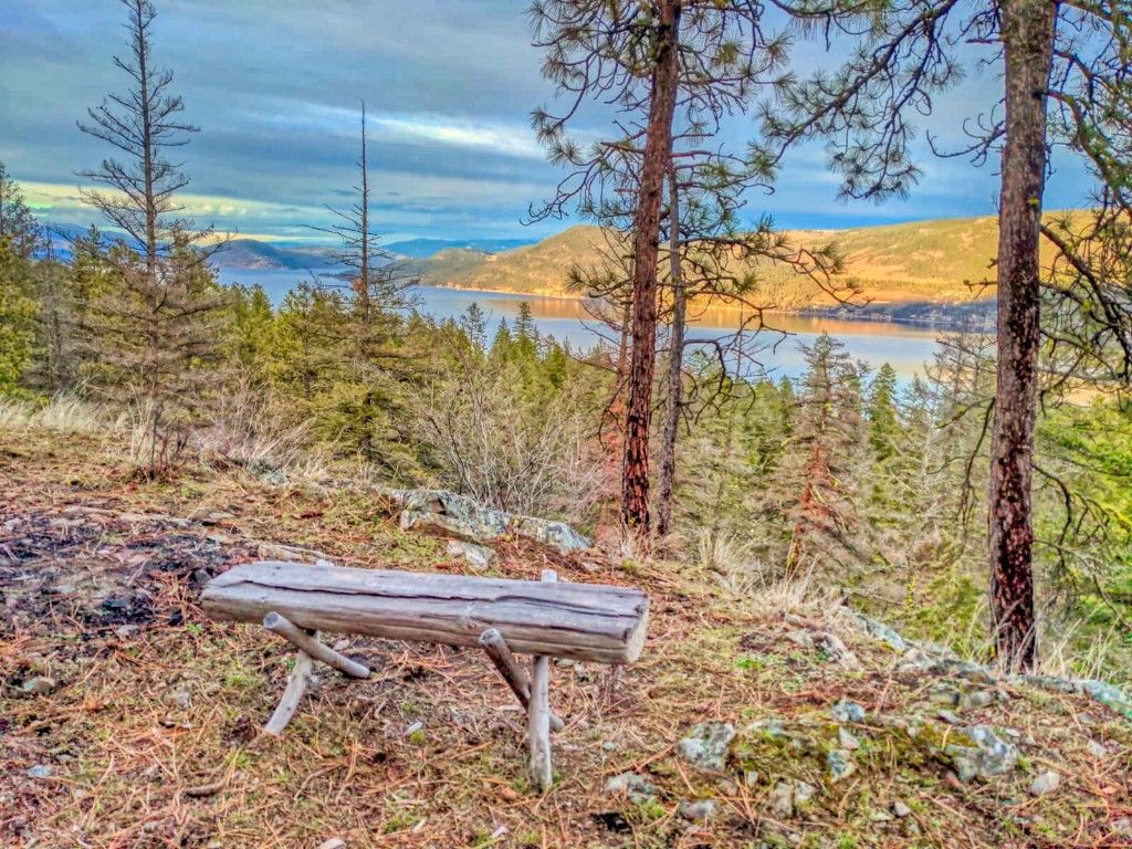 listing image 16516103140693108895