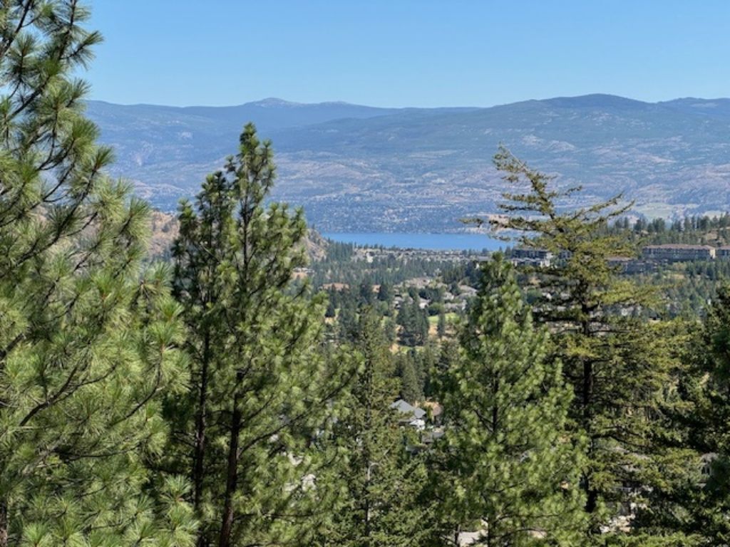 listing image 16516971103924686383