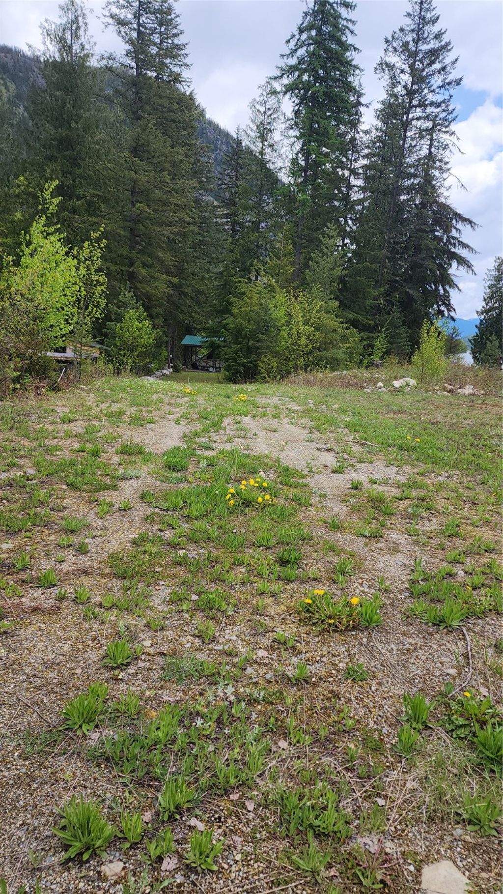 listing image 16519980716282410690