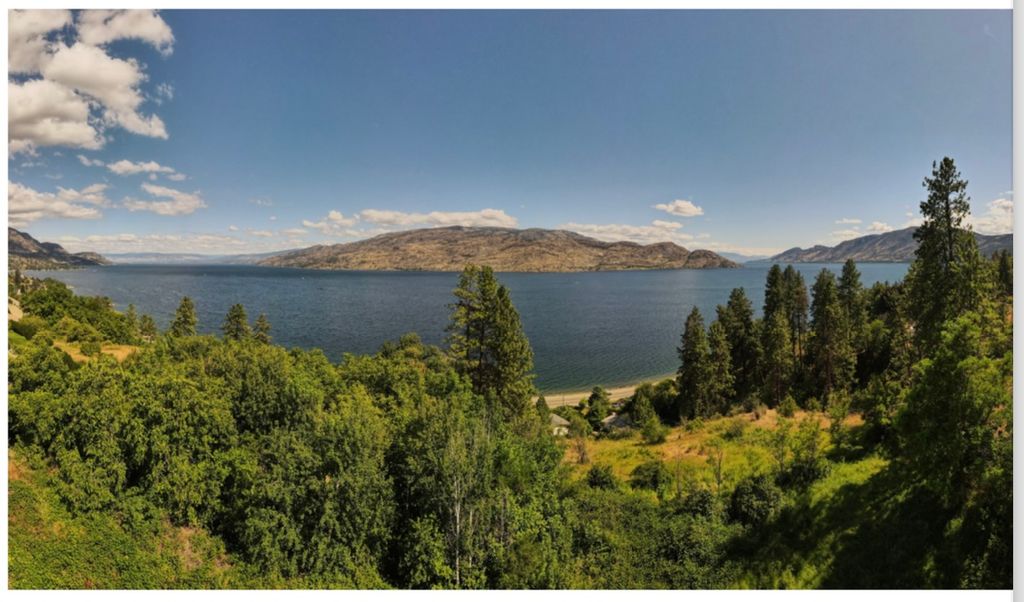 listing image 16513246430858039380
