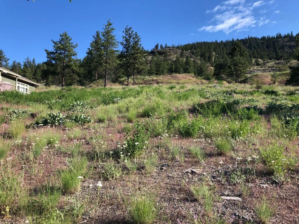 listing image 16514117129167400740