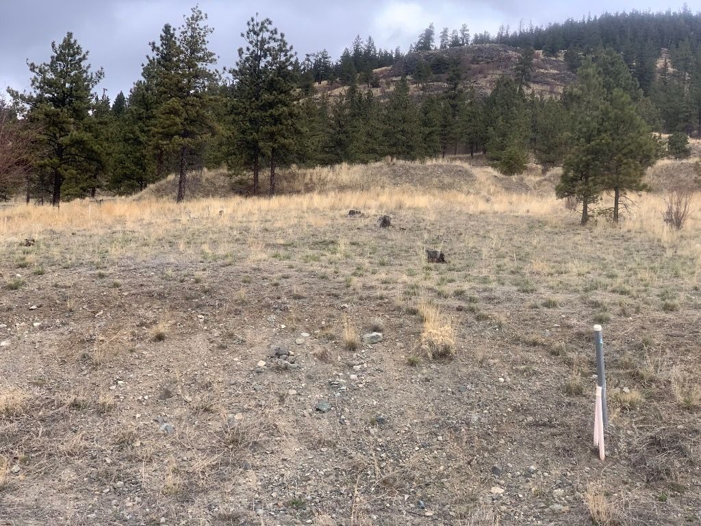listing image 16515365101189345640