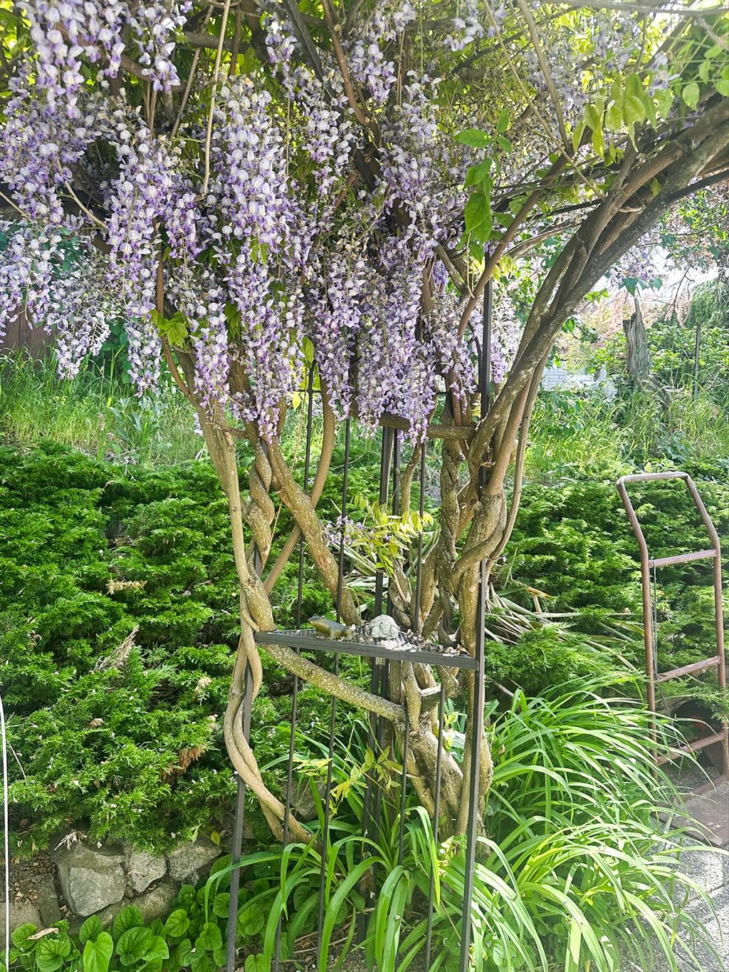 listing image 16516642564102515219