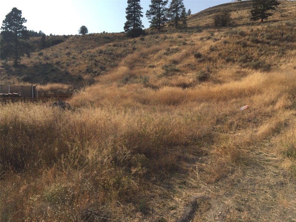 listing image 16516124691629498316
