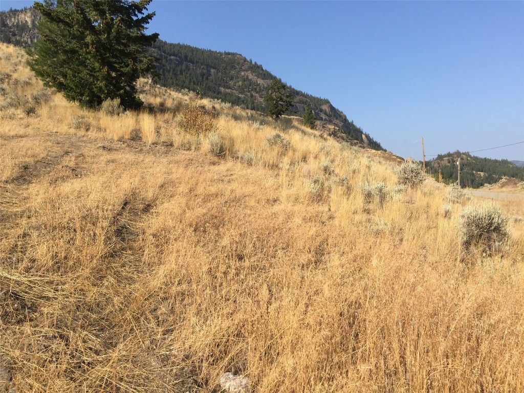 listing image 16518453655139001749