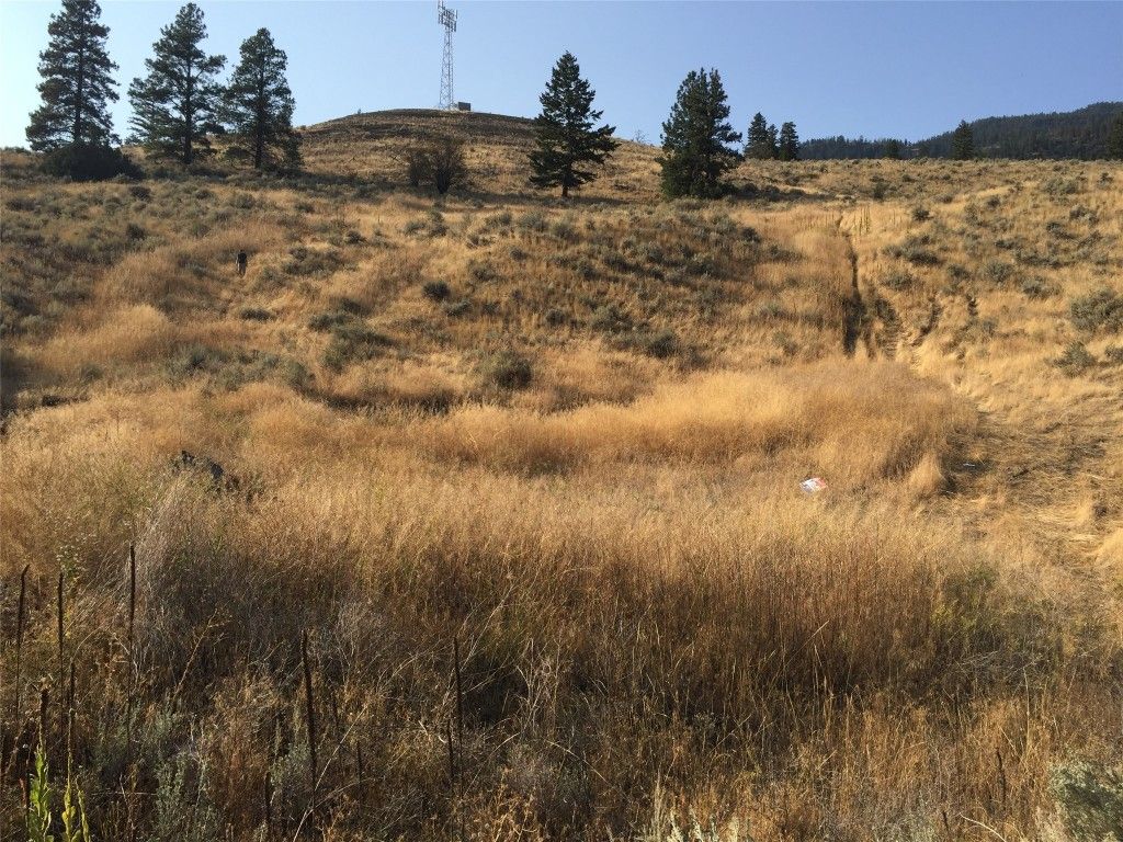 listing image 16517557314069656031