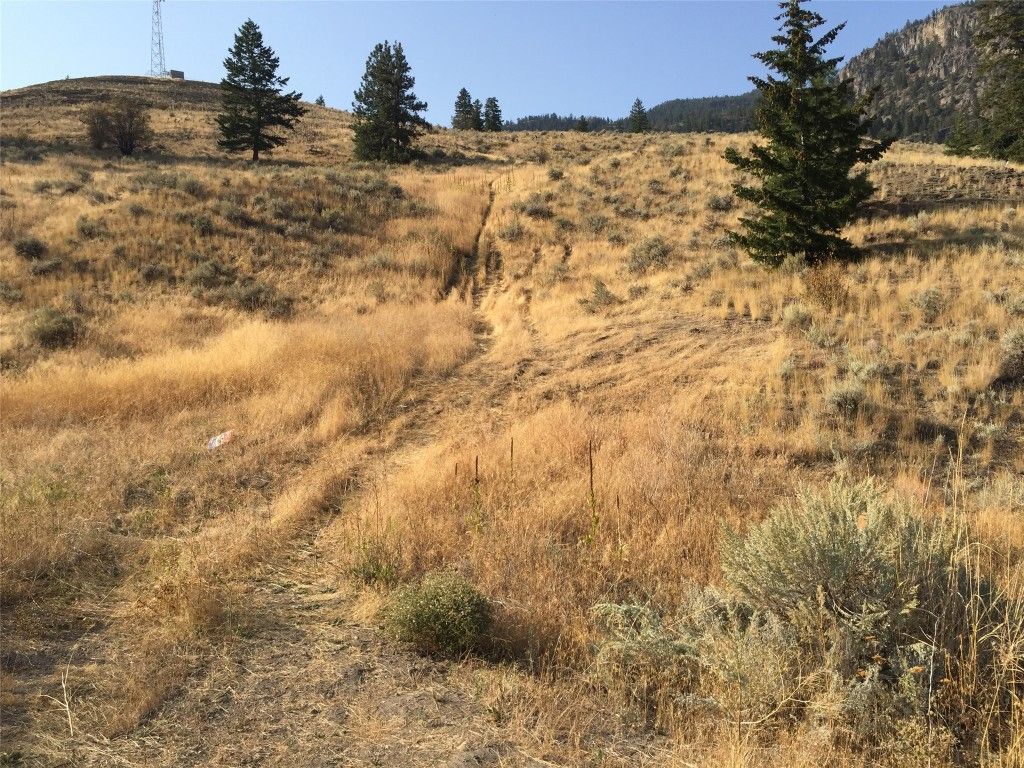 listing image 16519648392211978733
