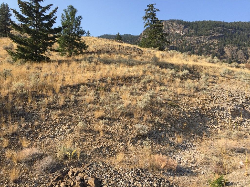 listing image 16510549914638171045