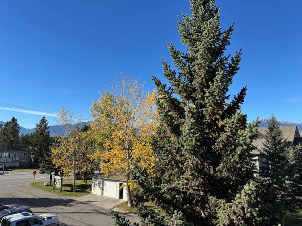 listing image 16519484131301011909