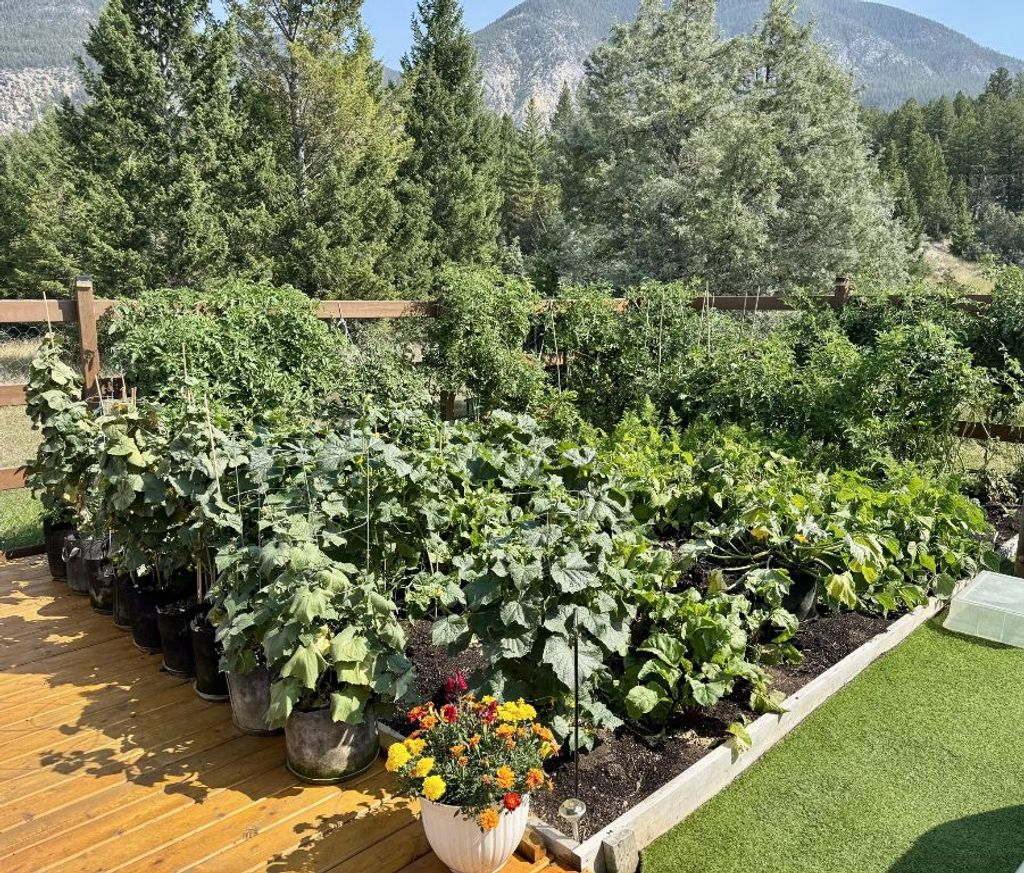 listing image 16517635362601325239