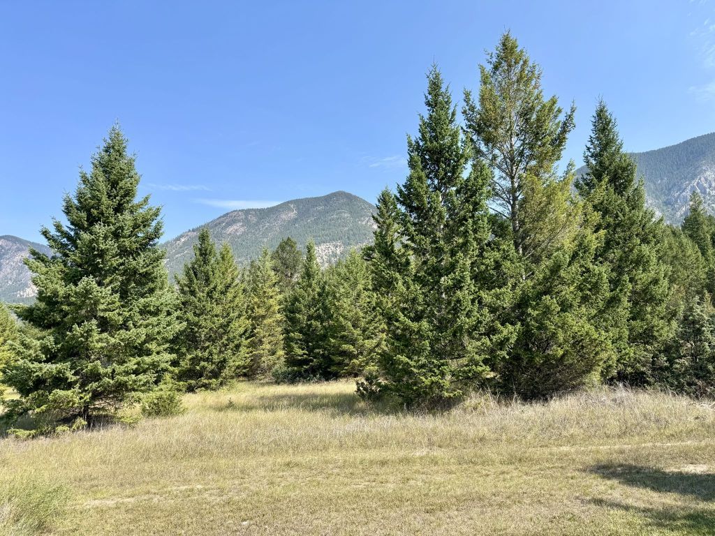 listing image 16515542398278256998