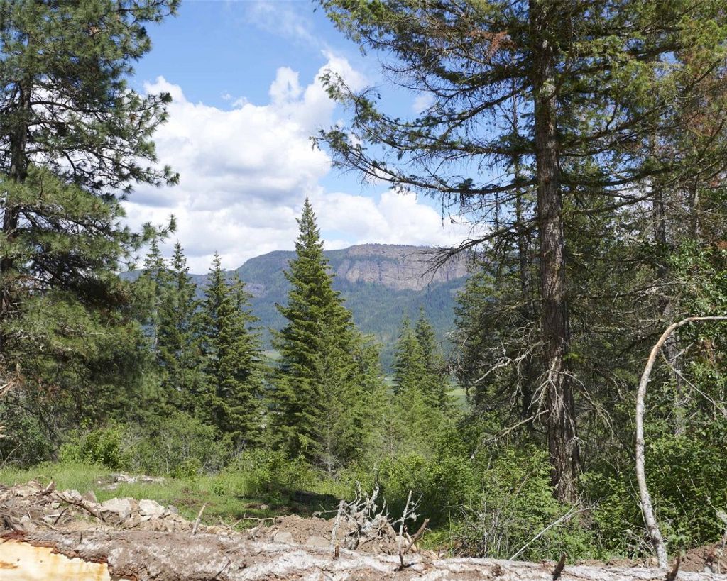 listing image 16519757909976855946