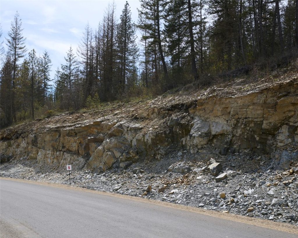 listing image 16511095502659415536