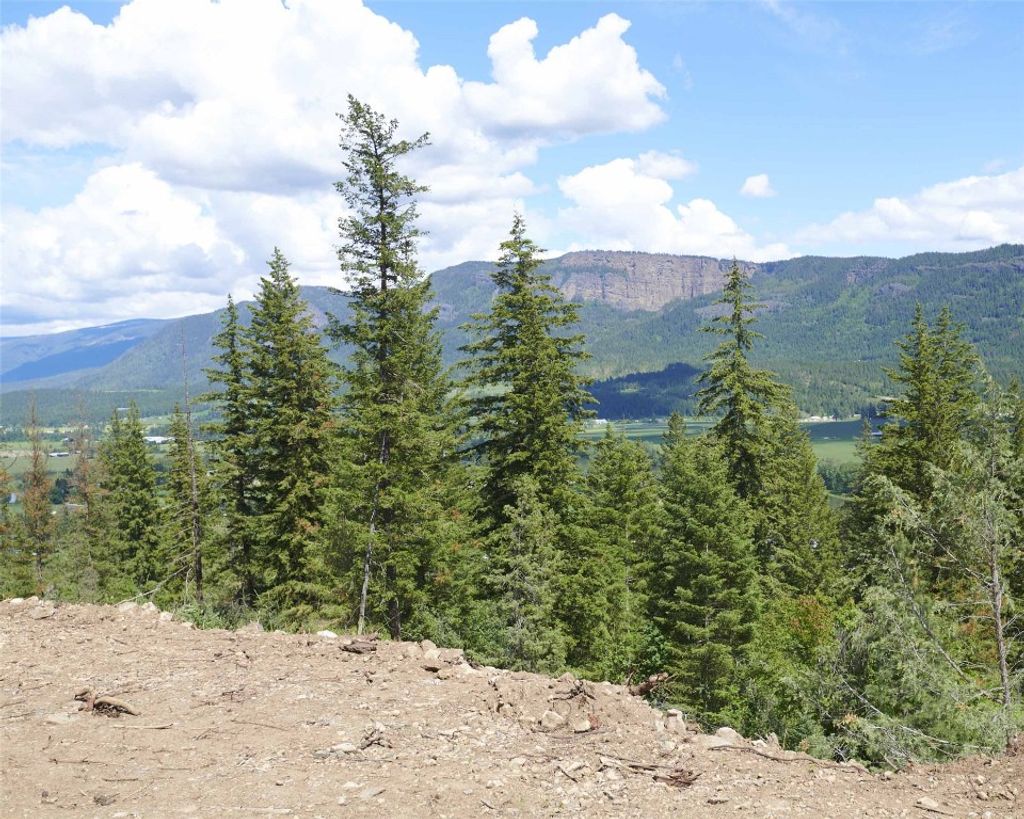 listing image 16511251440739574527