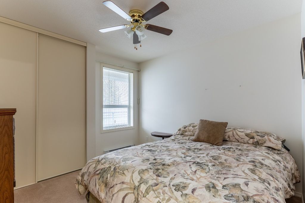 listing image 16516554818145338813