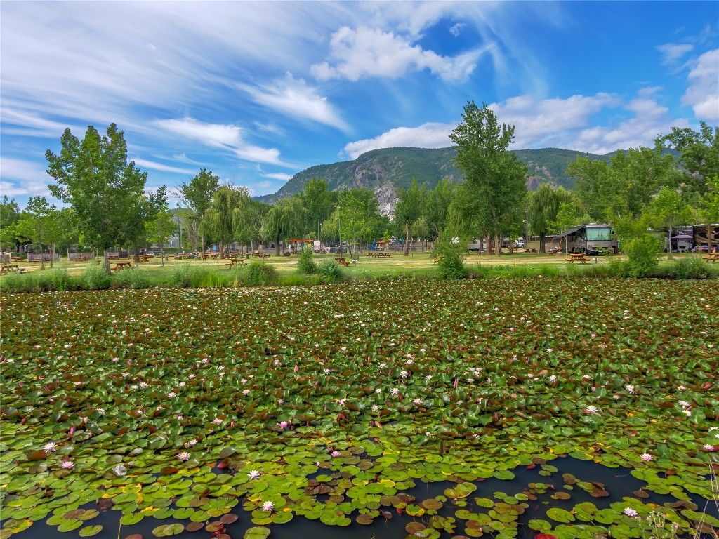 listing image 16517474730031471037