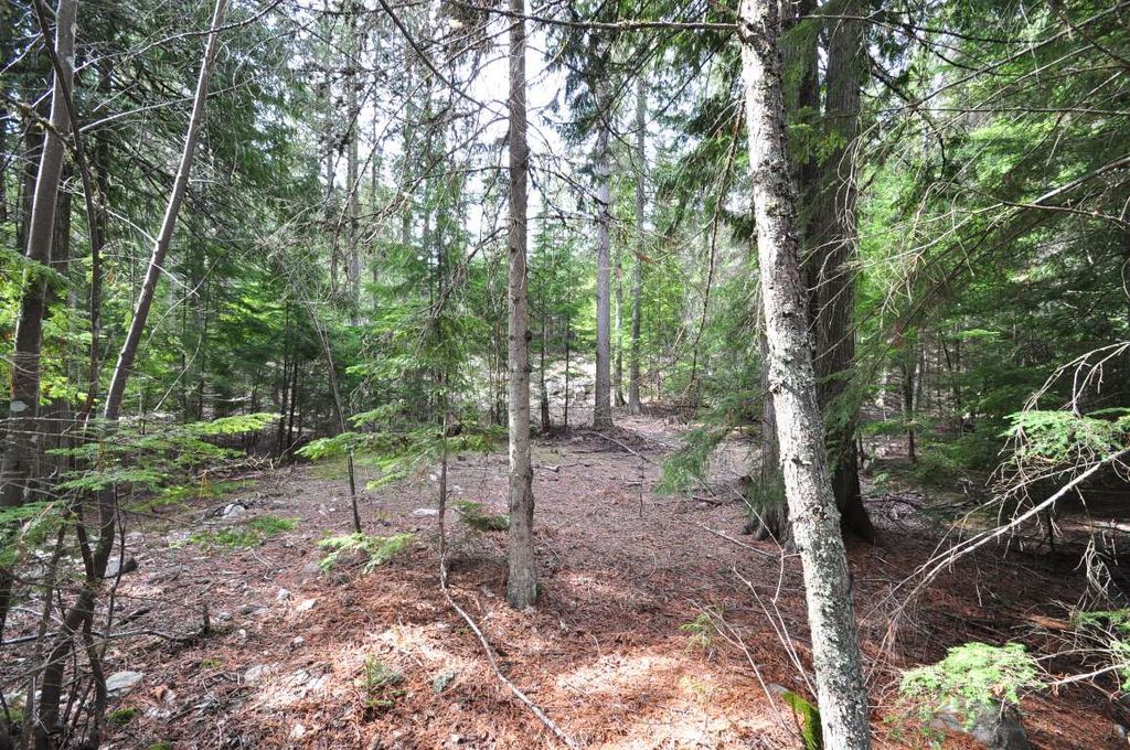 listing image 16519866326266129425