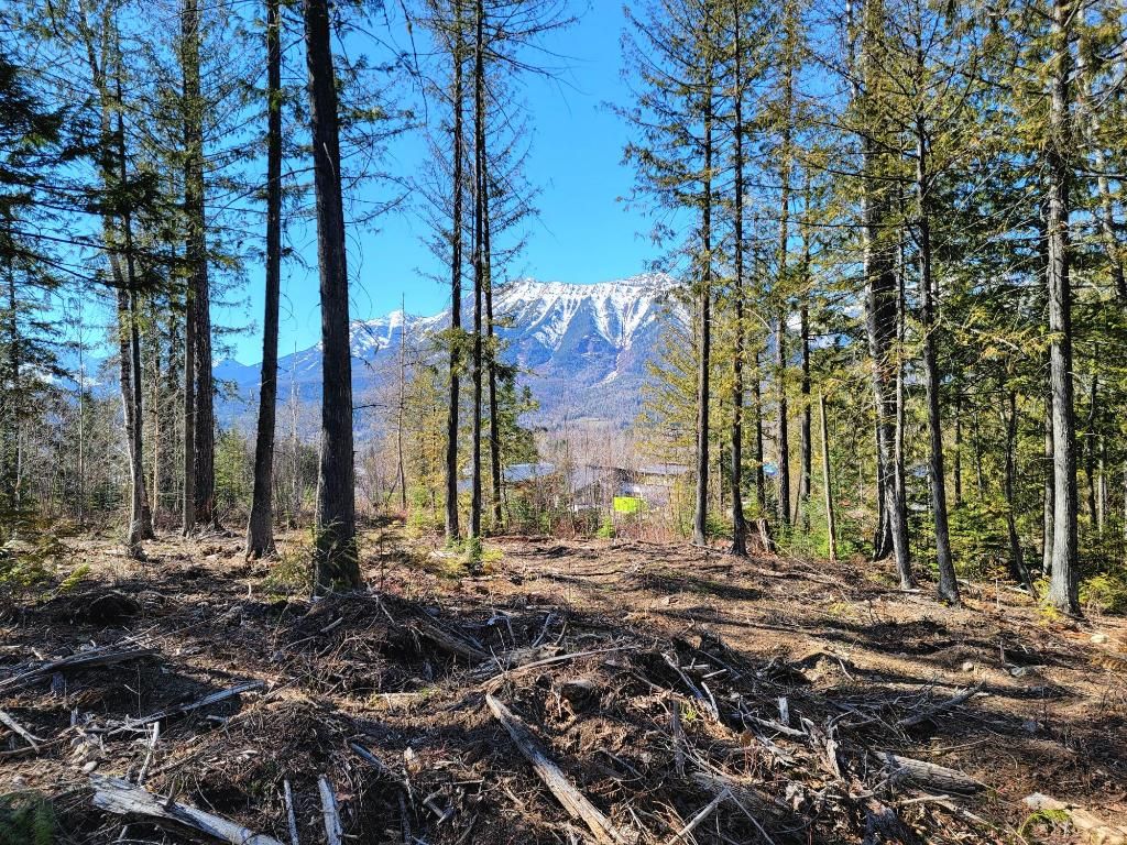 listing image 16519791410817833551