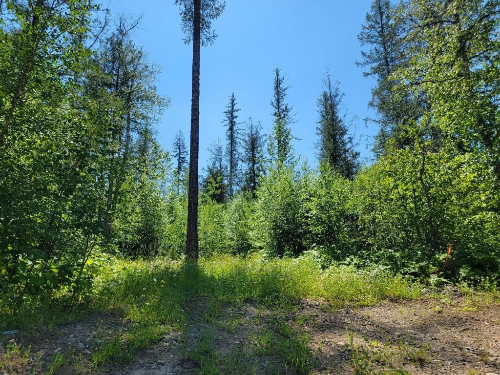 listing image 16516044082511580069