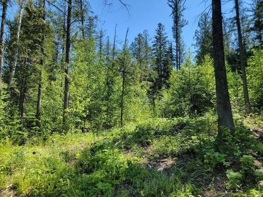listing image 16519987566245288898