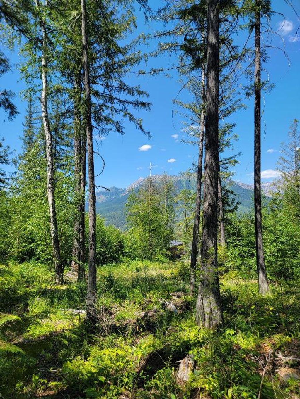 listing image 16512837140710265270
