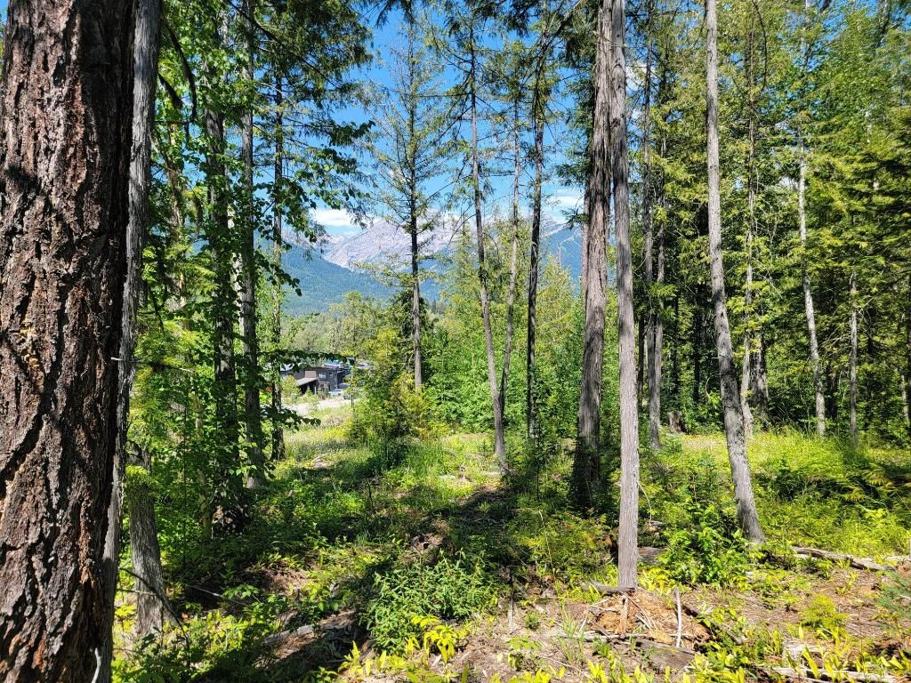 listing image 16518222638593125117