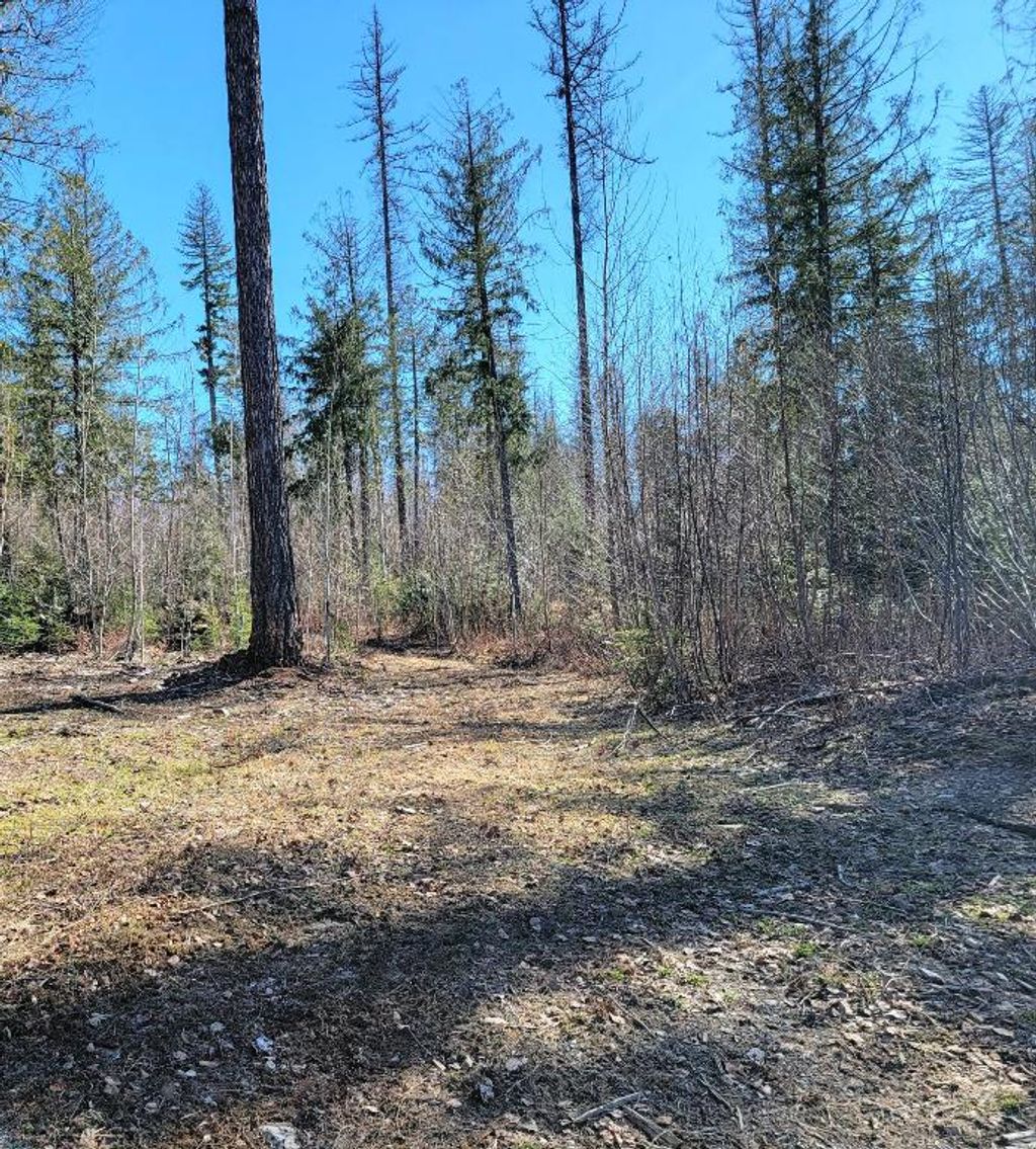 listing image 16518413811506889338