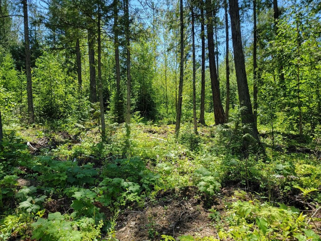 listing image 16511129160101329553