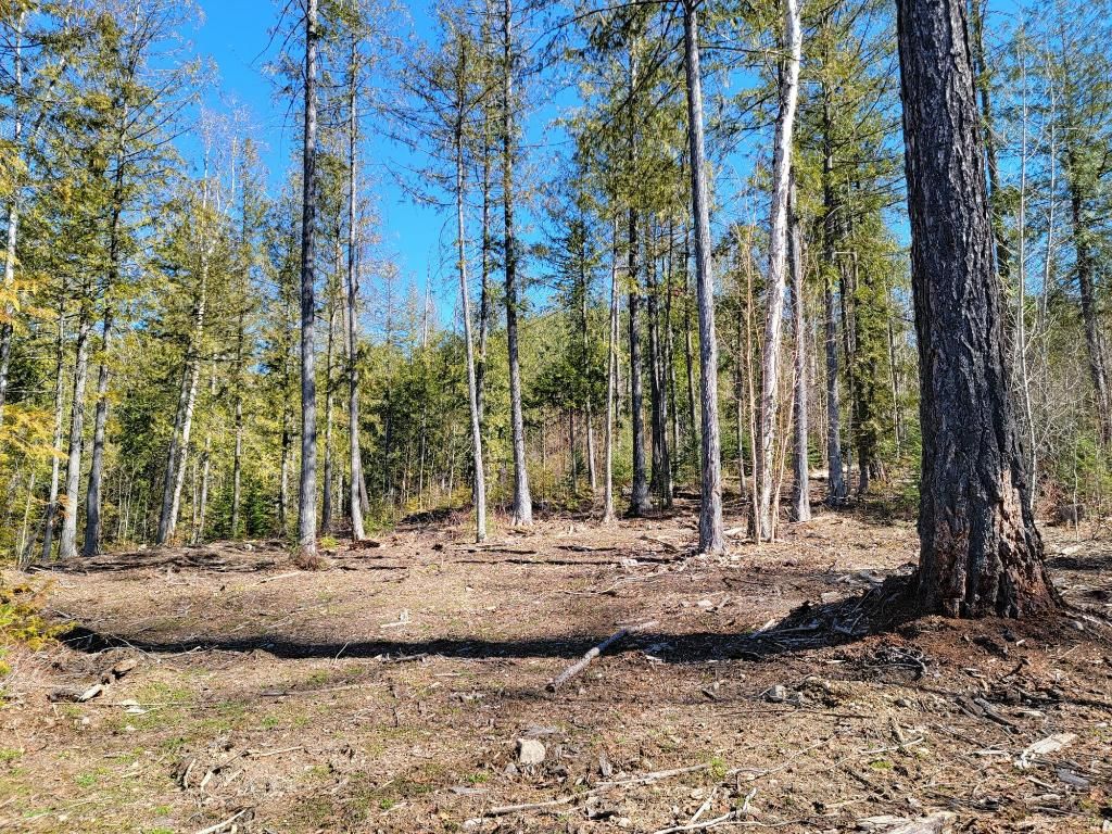 listing image 16512225597946598934