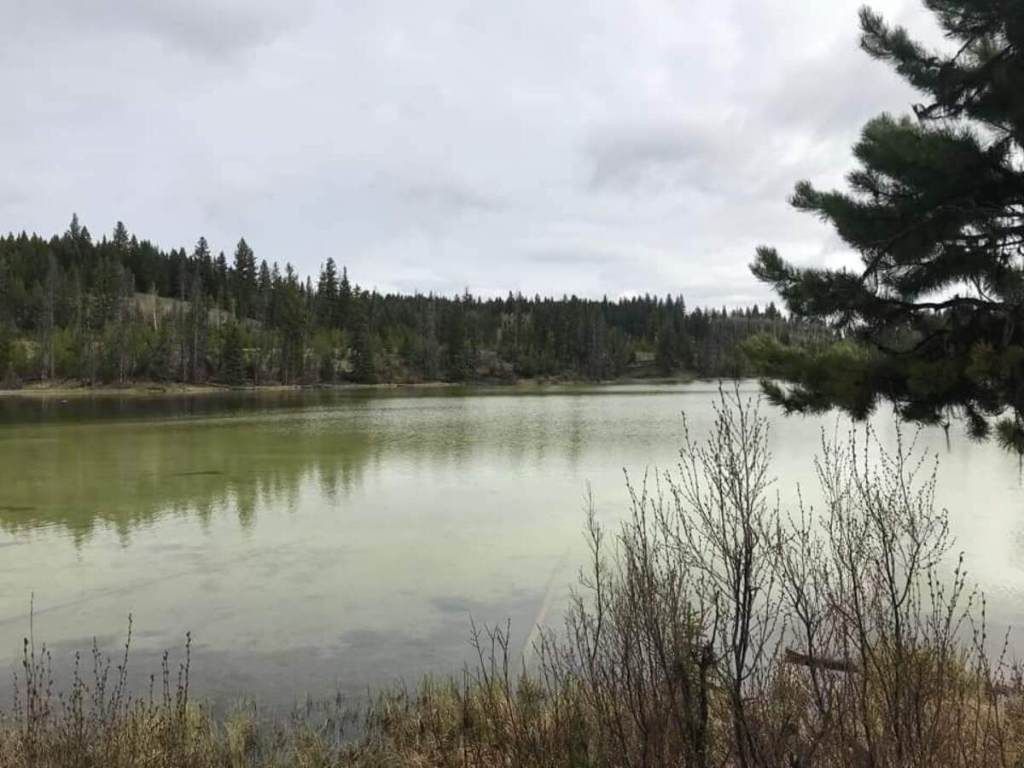 listing image 16514223634264649433