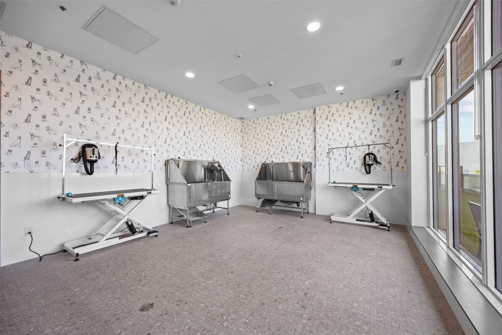 listing image 16513755596682498929