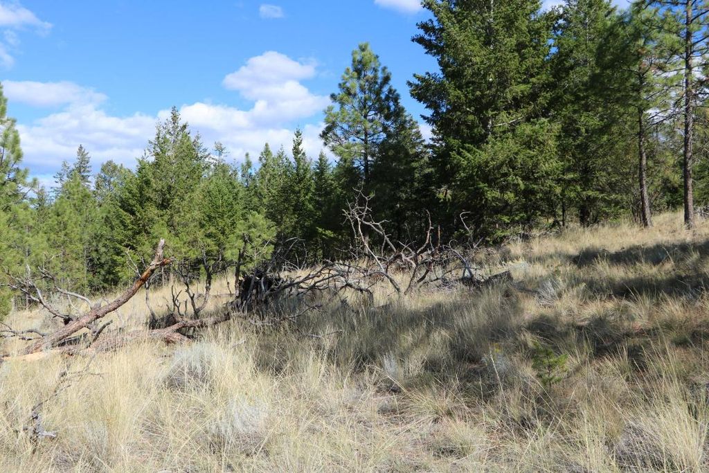 listing image 16513661924715546788
