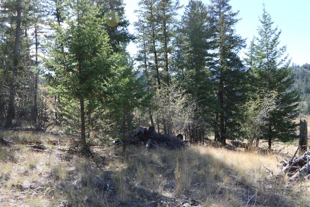 listing image 16518463079716815225