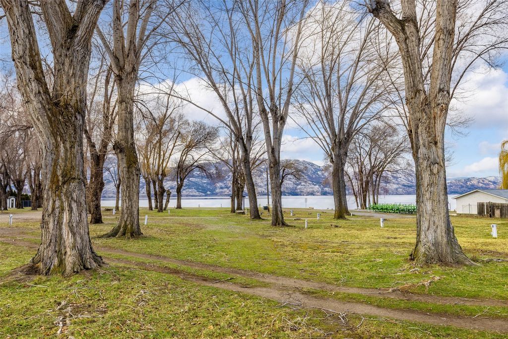 listing image 16517869614028143443