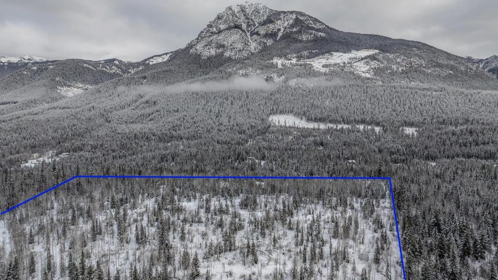 listing image 16510059430366714258