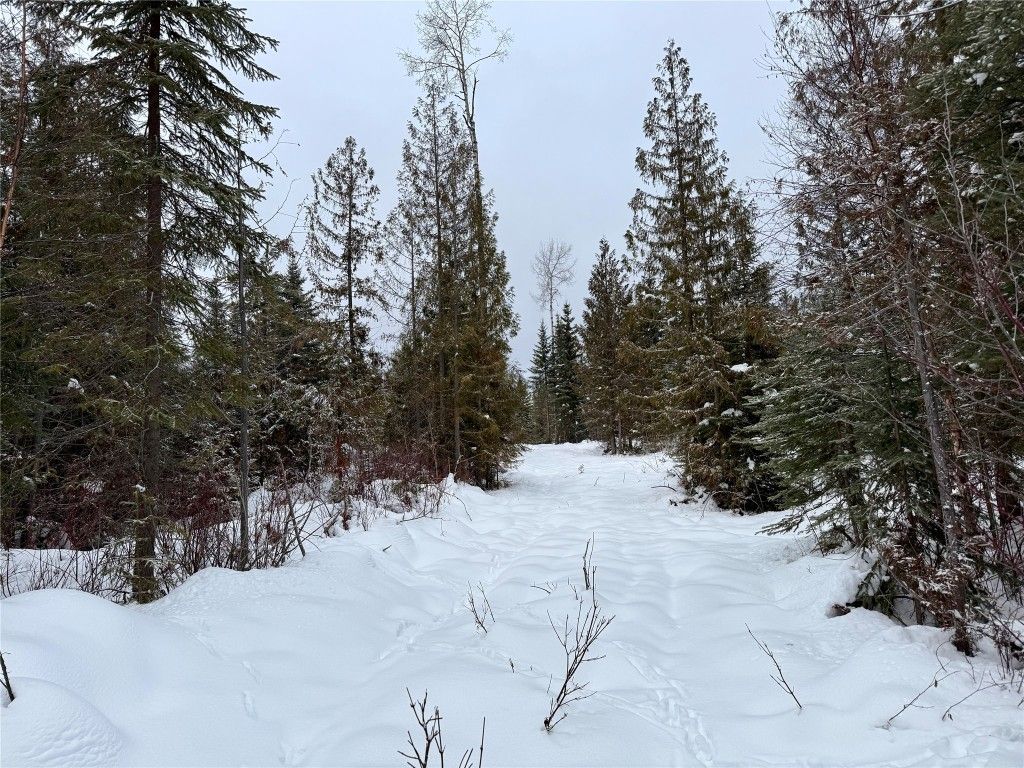 listing image 16519178802314497868