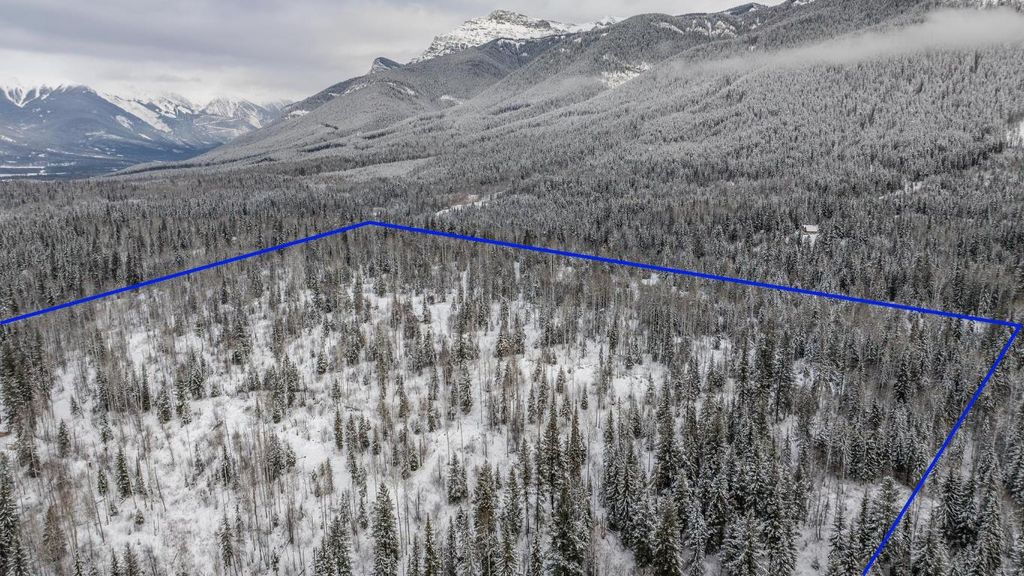 listing image 16515696456477750535