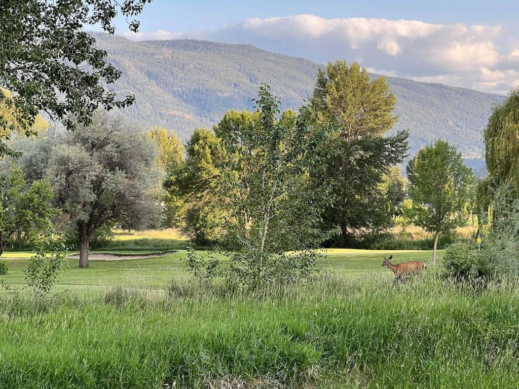 listing image 16517508671468325039