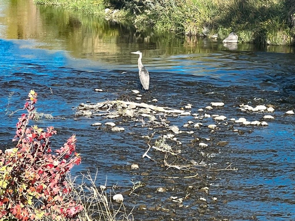 listing image 16516057266705515622