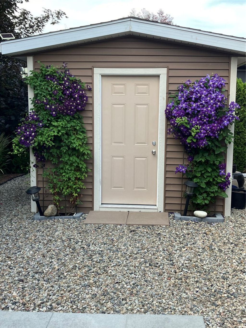 listing image 16517062584463016662