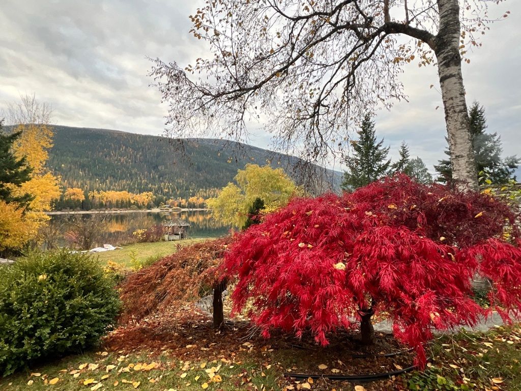 listing image 16519062593735753410
