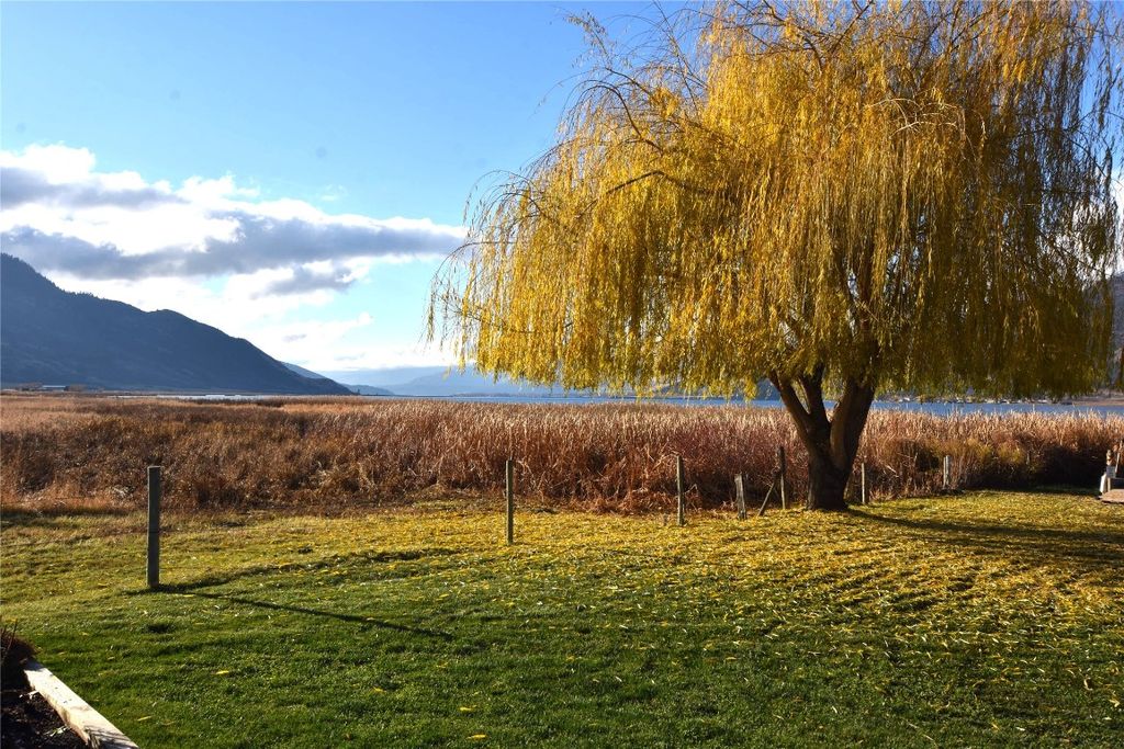 listing image 16519220298311921344