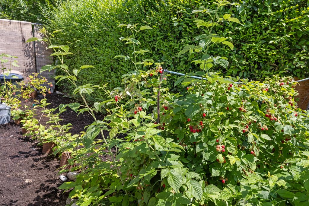 listing image 16511497998157761671