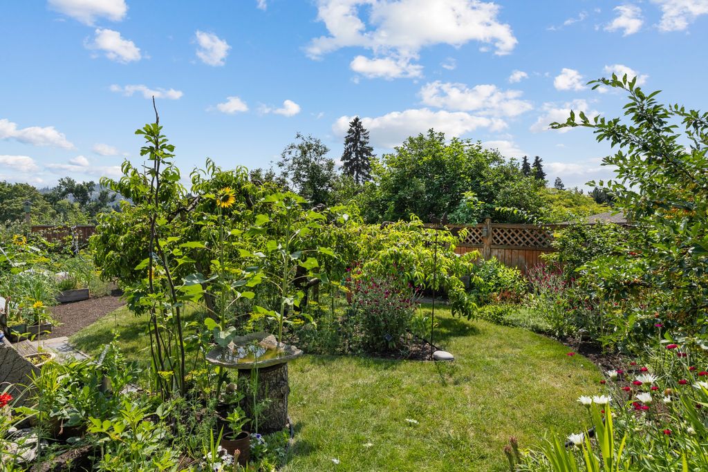 listing image 16519730860533584132