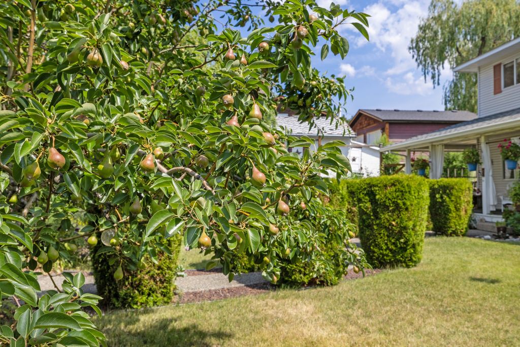 listing image 16516517354067769350