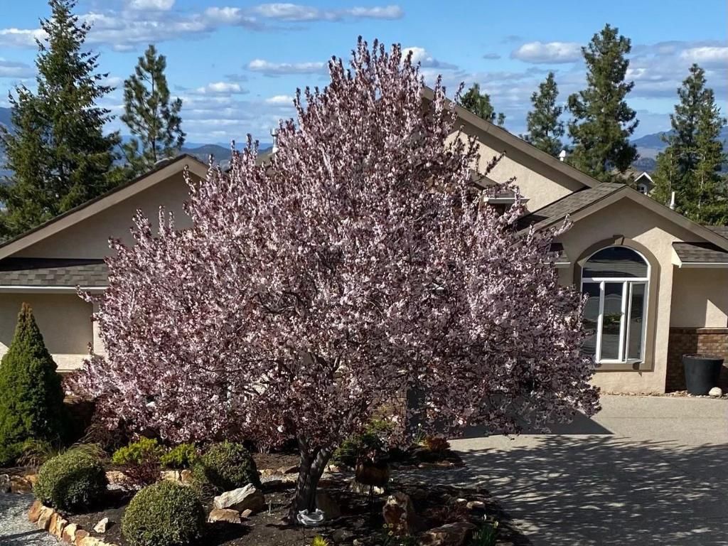 listing image 16516053088132916000