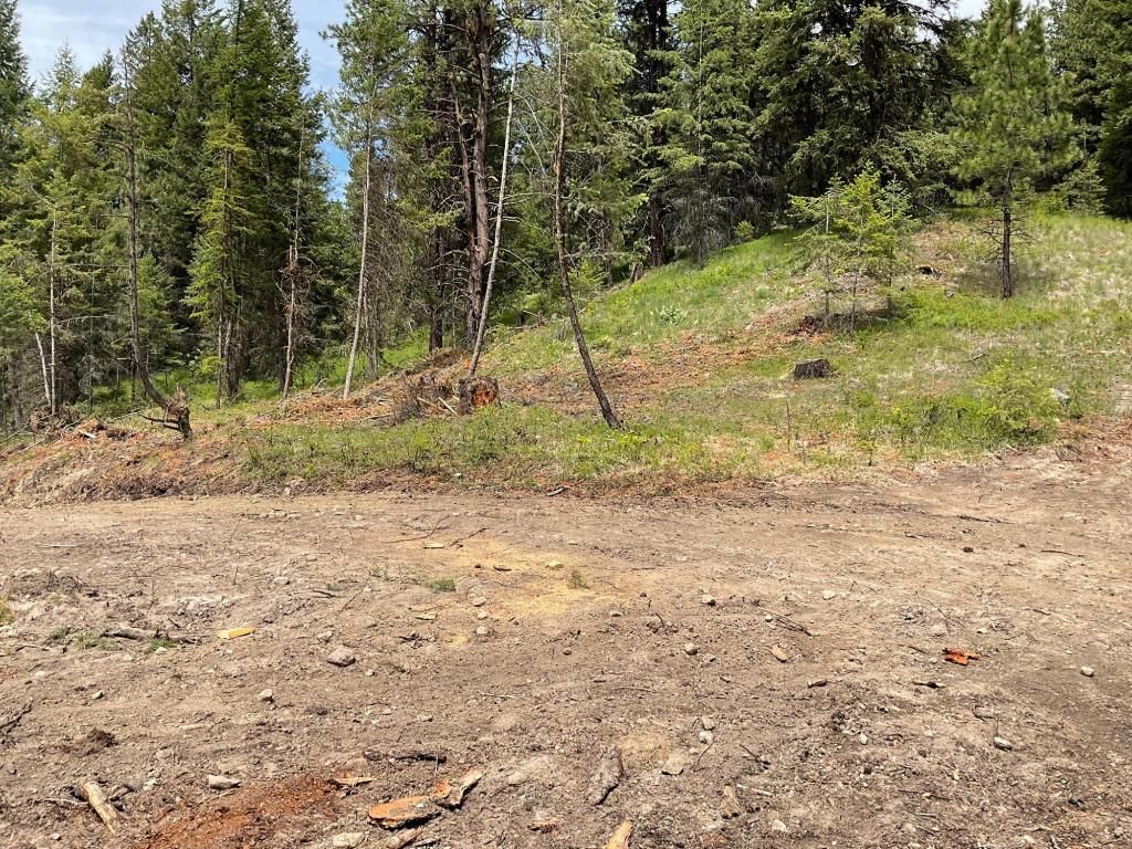 listing image 16518528427384973803