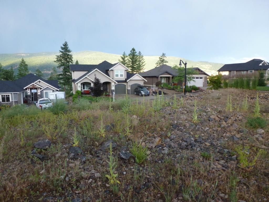 listing image 16519950721114212657