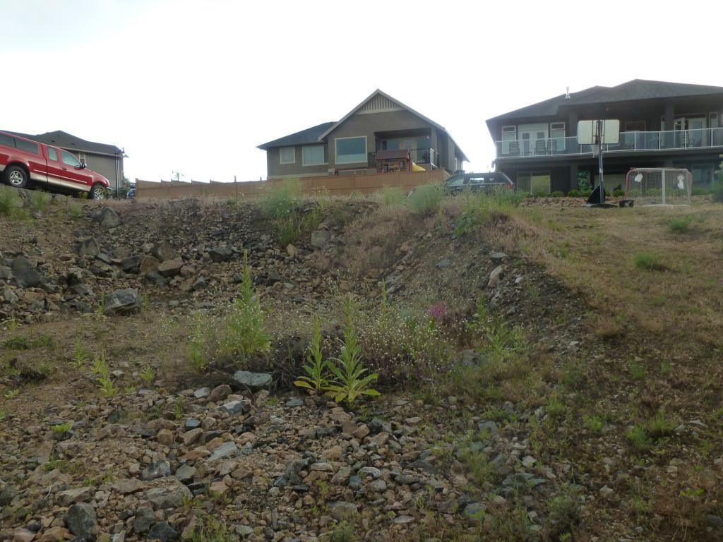 listing image 16518636720259419371